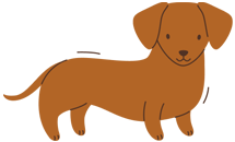 dog-img-png