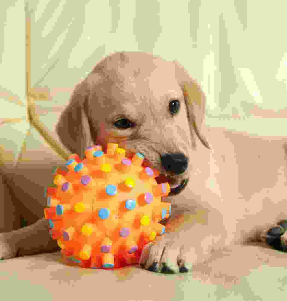 Shop Secondary Image