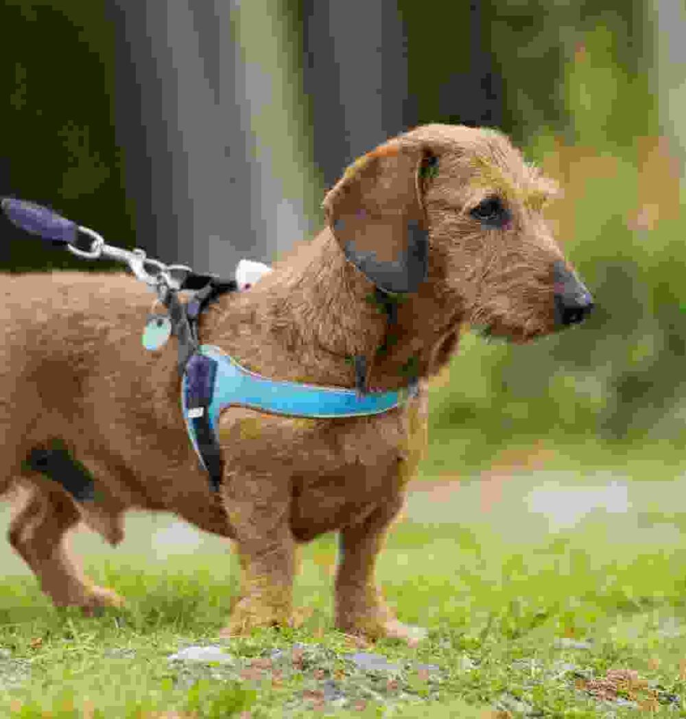 Shop Secondary Image